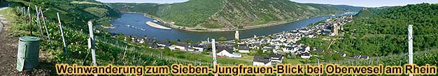 Mittelrhein-Weinwandertag Weinwanderung zum Sieben-Jungfrauen-Blick bei Oberwesel am Rhein