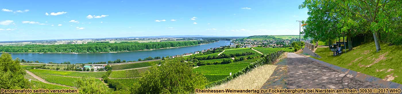 Rheinhessen-Weinwandertag, Weinwanderung Nierstein, Blick von der Fockenberghuette auf den Rhein